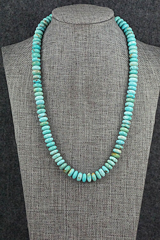 Turquoise & Sterling Silver Necklace 19" - Doreen Jake