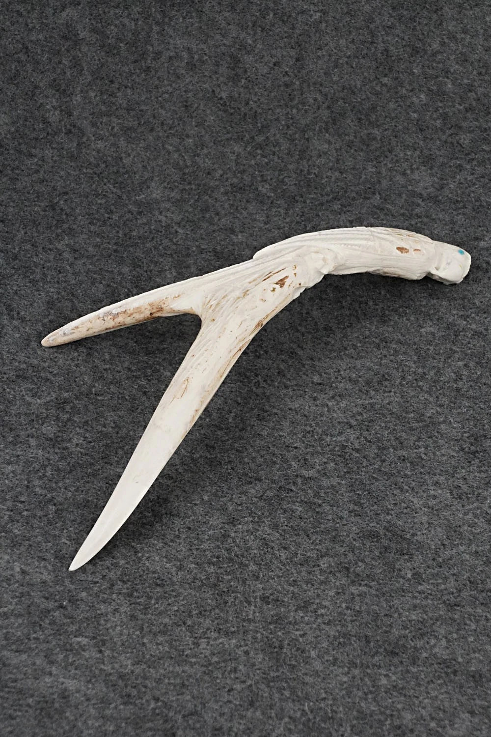 Eagle Zuni Fetish Carving - Derrick Kammasee