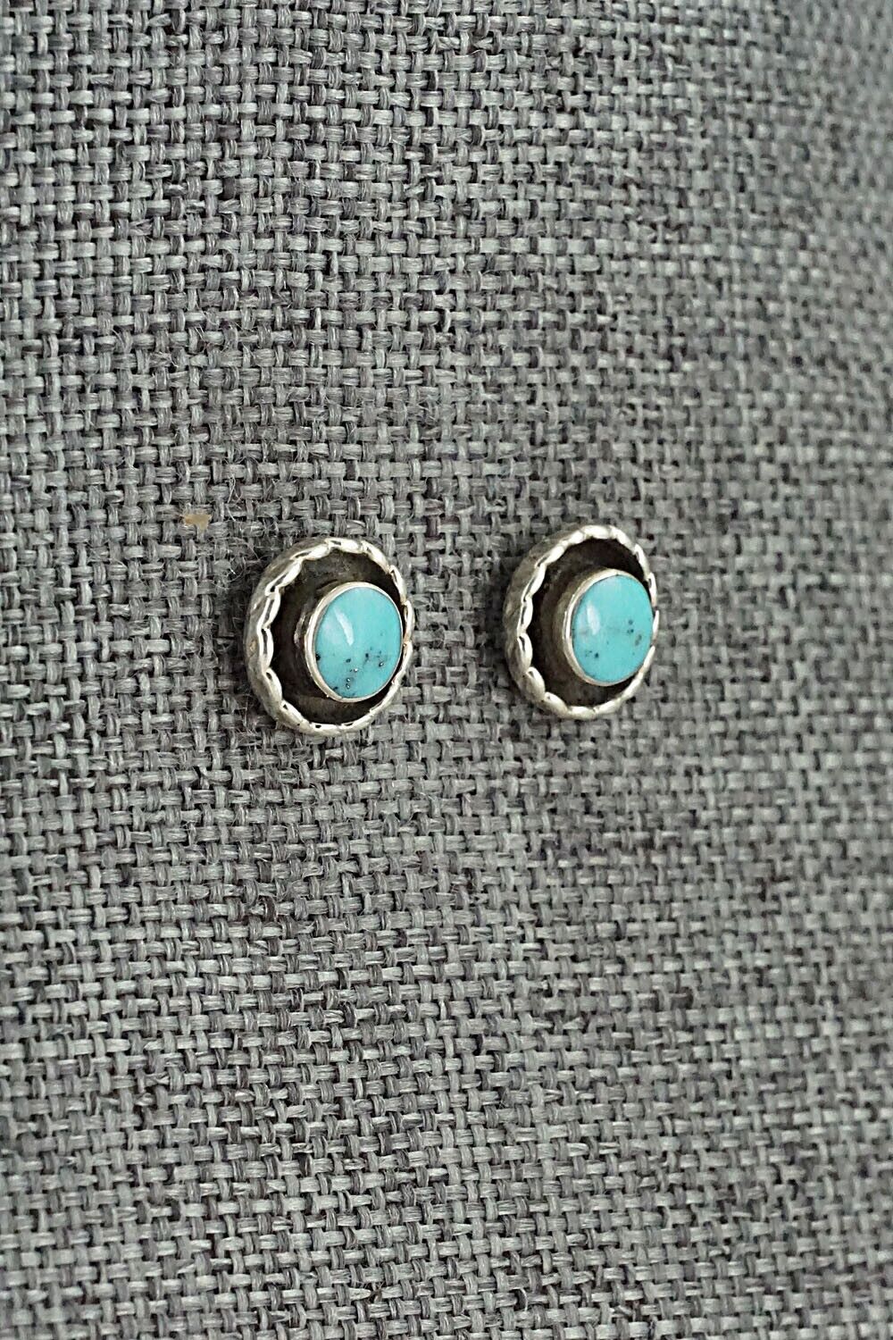 Turquoise & Sterling Silver Earrings - Carina Leekity
