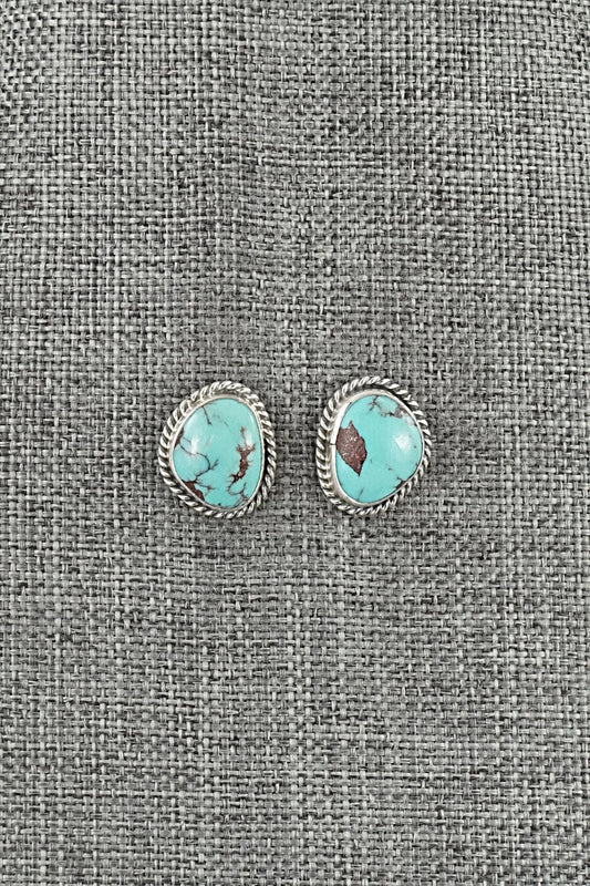 Turquoise & Sterling Silver Earrings - Eugene Gruber