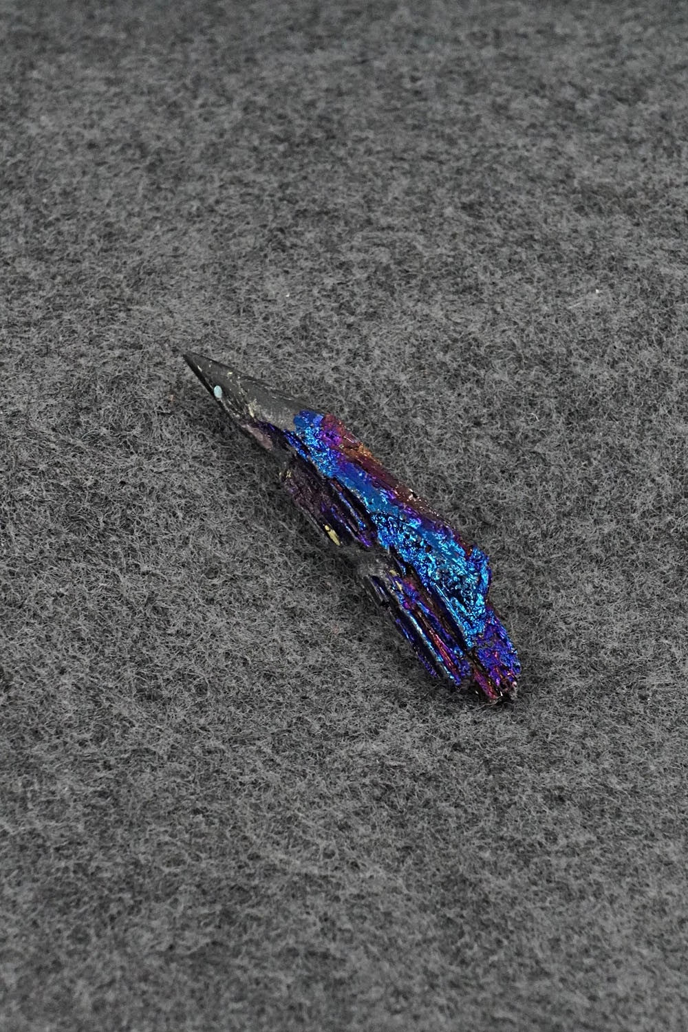 Porcupine Zuni Fetish Carving - Abby Panteah Quam