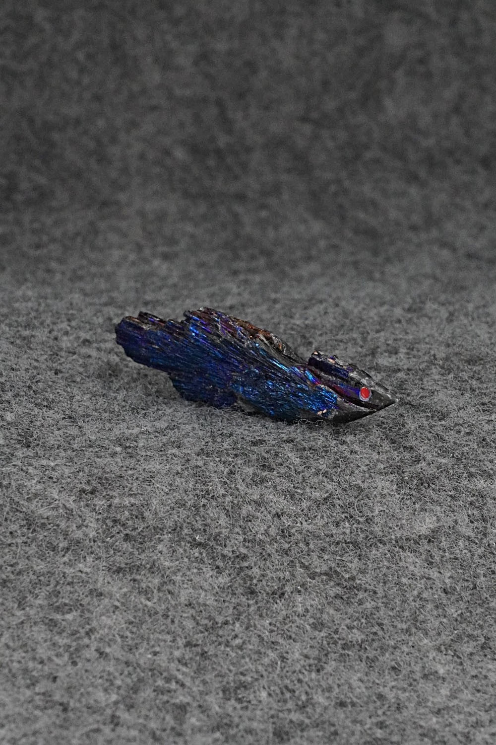 Roadrunner Zuni Fetish Carving - Abby Quam Panteah