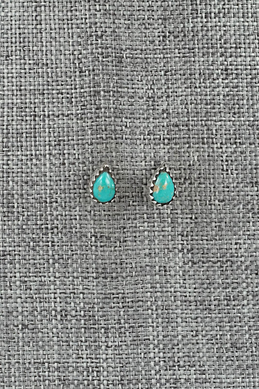 Turquoise & Sterling Silver Earrings - Gerald Joe