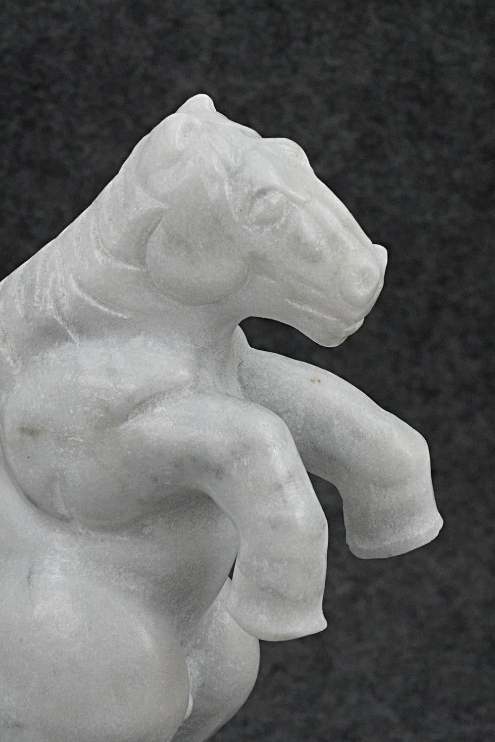 Horse Zuni Fetish Carving - Terrance Panteah