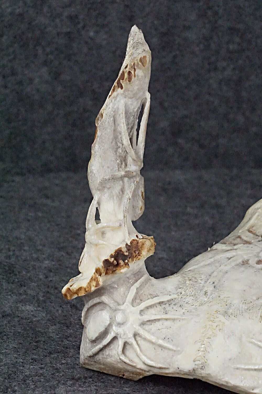 Spiders Zuni Fetish Carving - Maxx Laate
