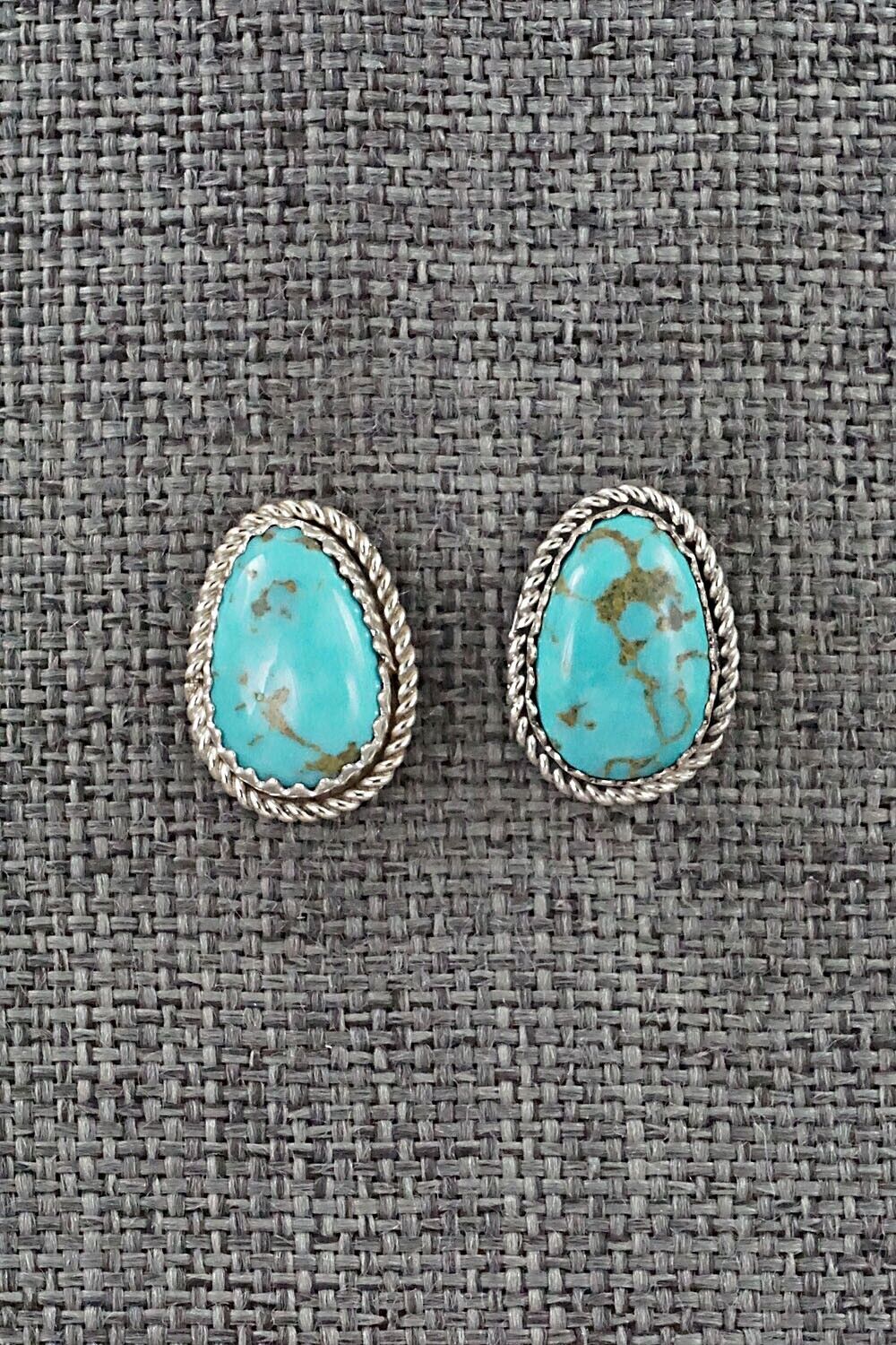 Turquoise & Sterling Silver Earrings - Sally Arviso
