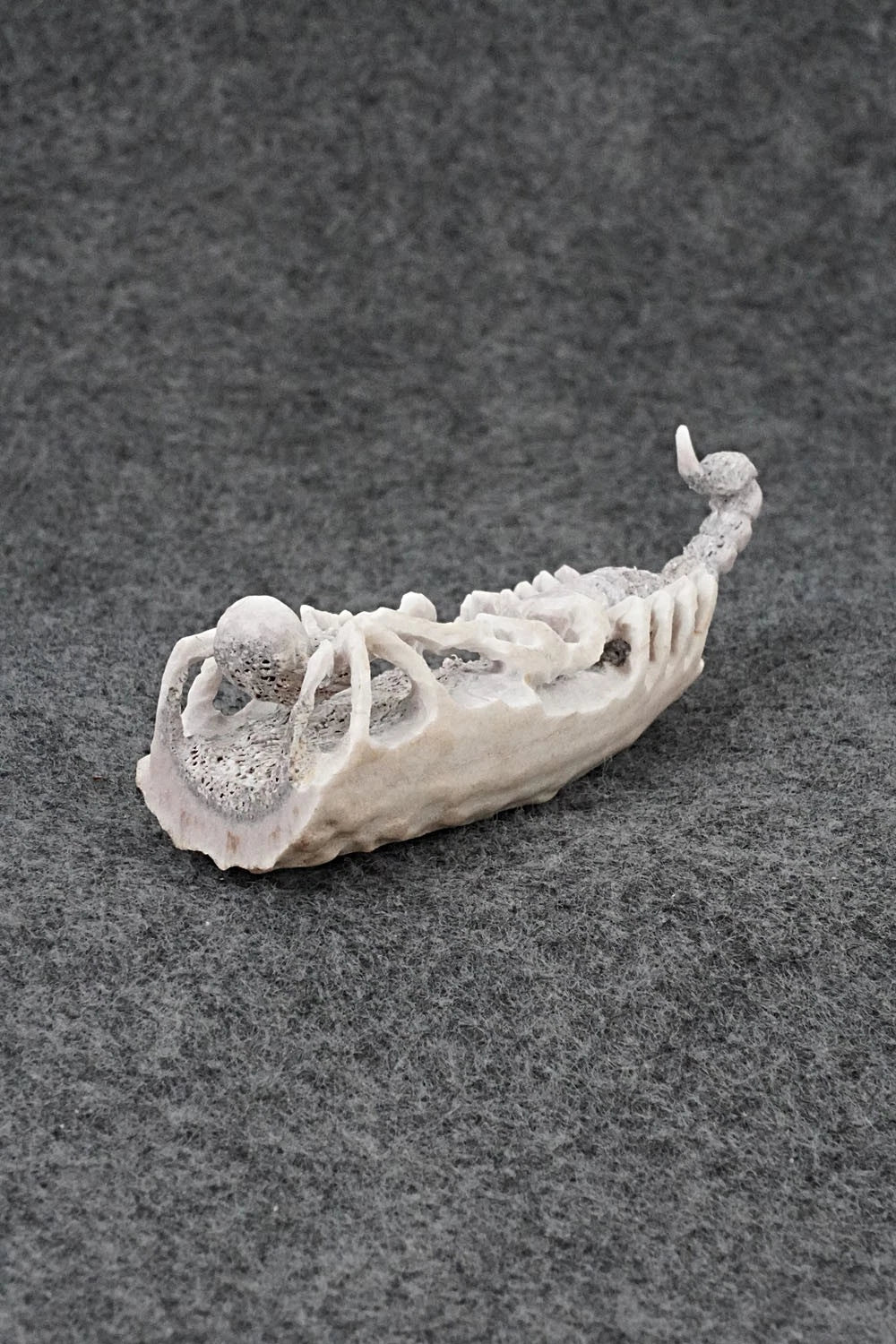 Spider & Scorpion Zuni Fetish Carving - Lewis Malie