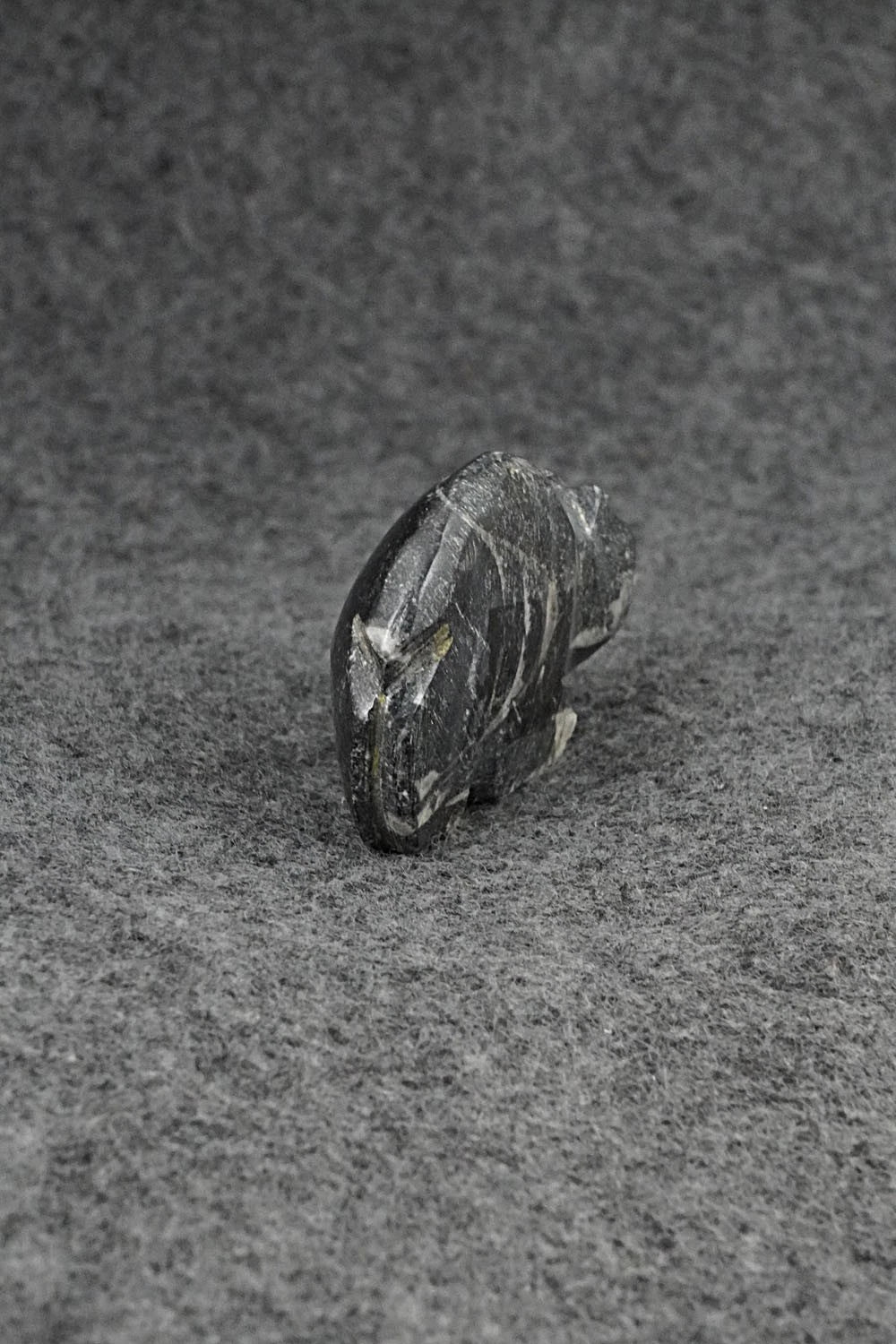 Bear Zuni Fetish Carving - Danette Laate