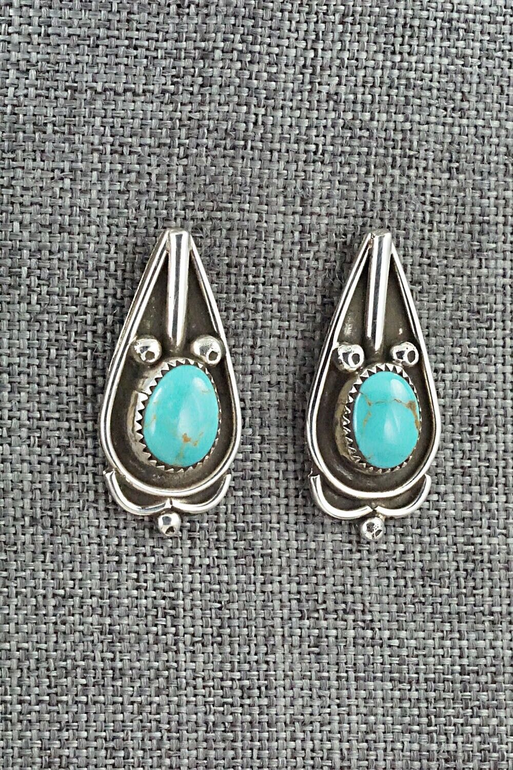 Turquoise and Sterling Silver Earrings - Priscilla Reeder