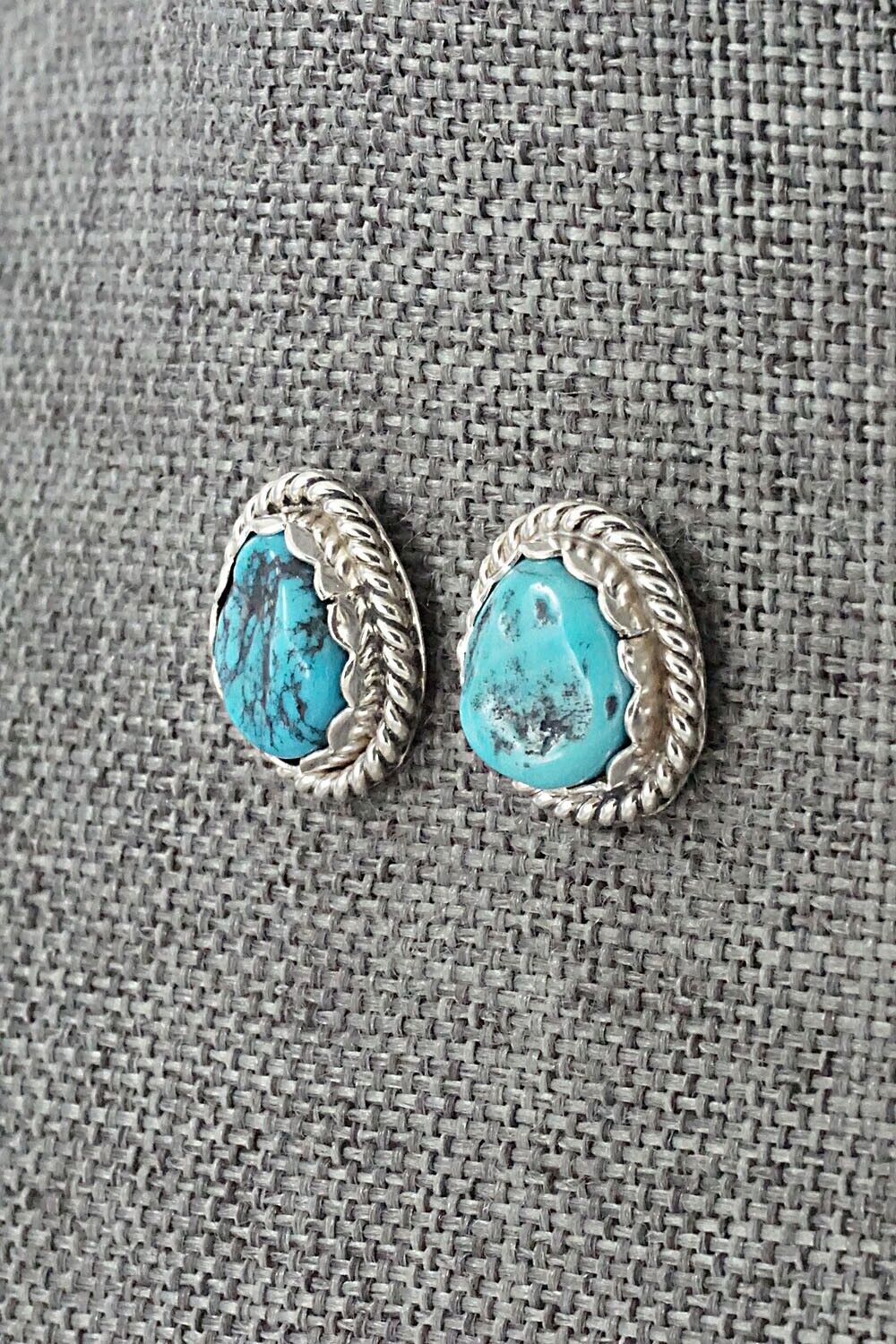 Turquoise & Sterling Silver Earrings - Isabelle John