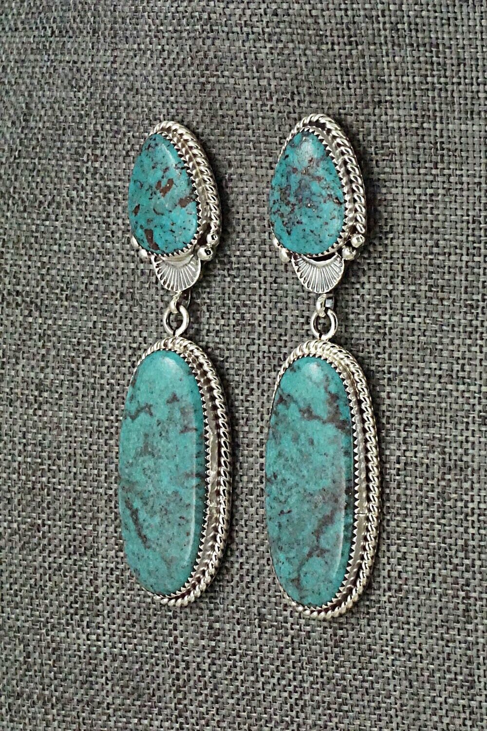 Turquoise and Sterling Silver Earrings - Anthony Brown