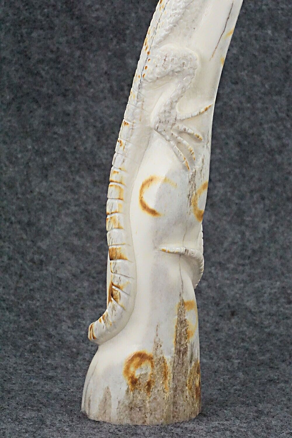 Lizard Zuni Fetish Carving - Maxx Laate