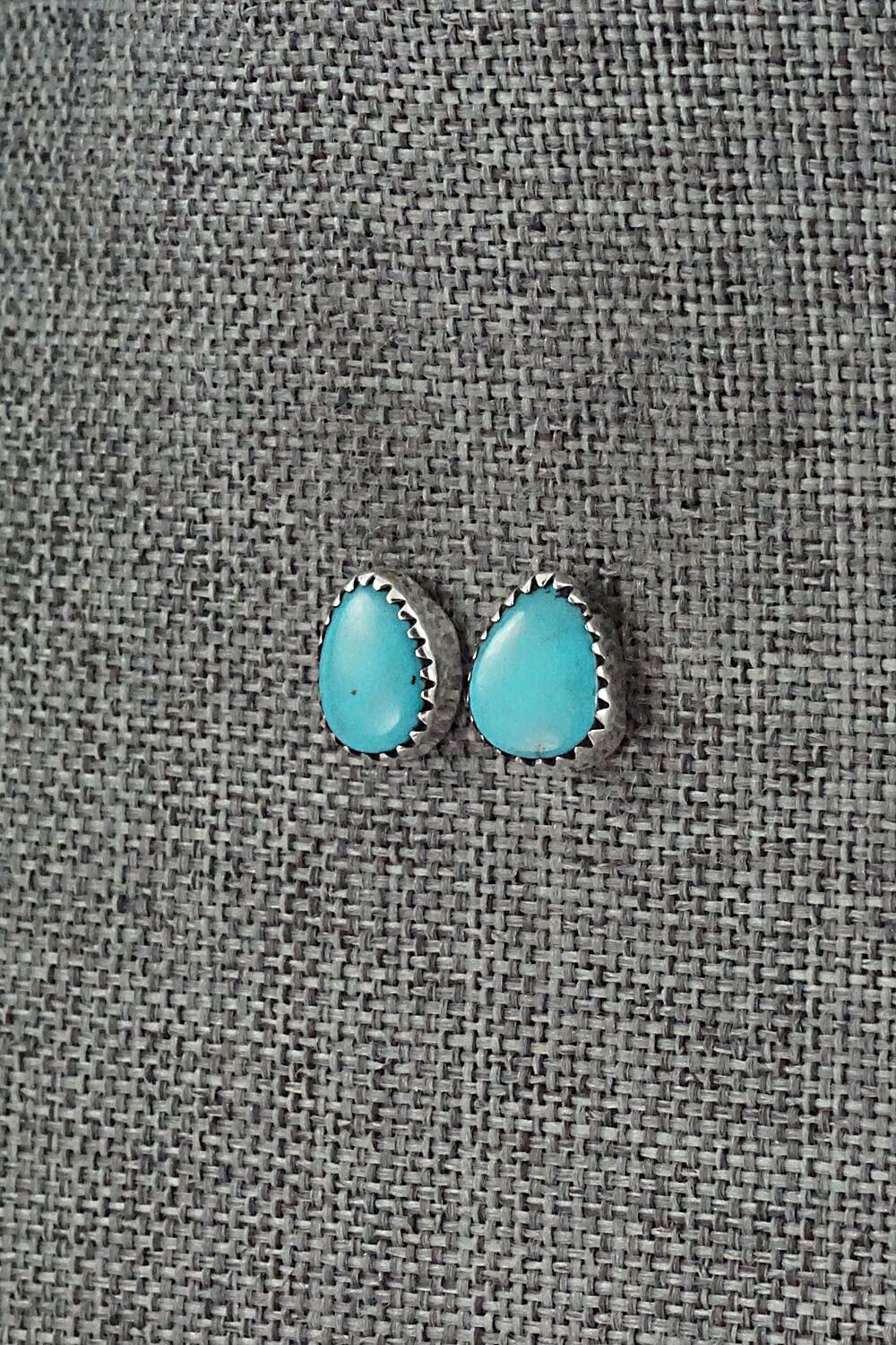 Turquoise & Sterling Silver Earrings - Theresa Smith