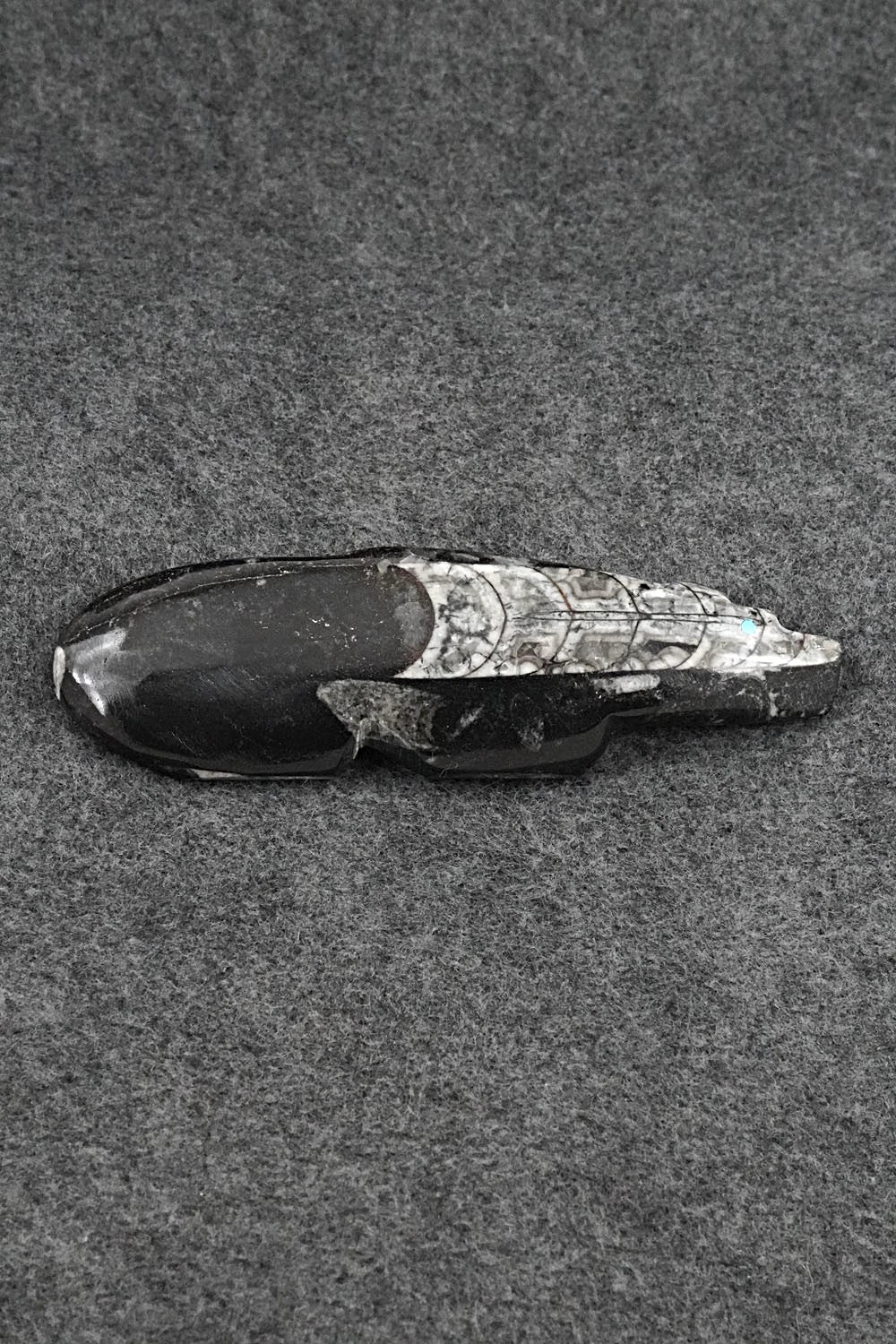 Bear Zuni Fetish Carving - Bernard Laiwakete