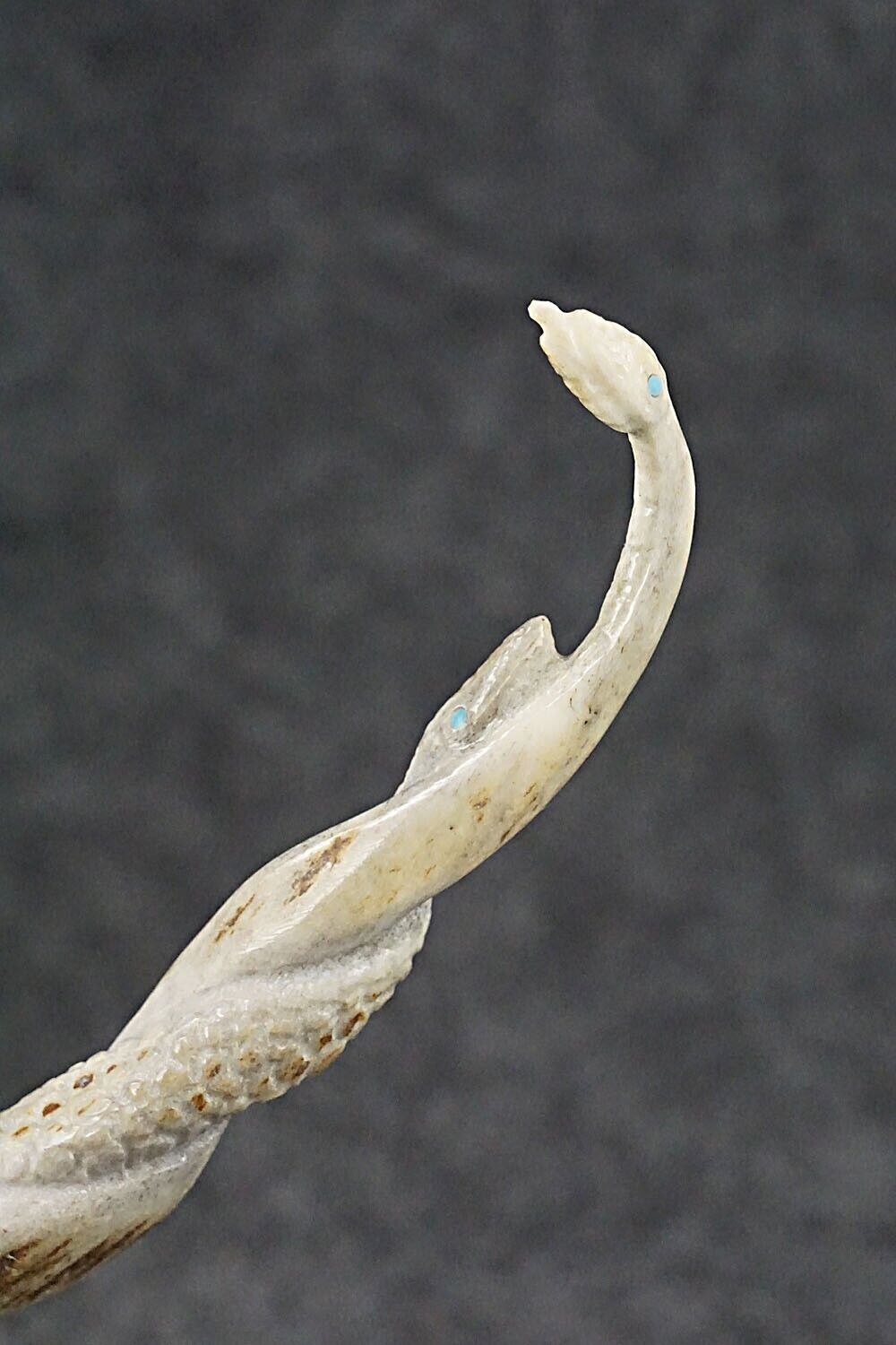 Rattlesnakes Zuni Fetish Carving - Maxx Laate
