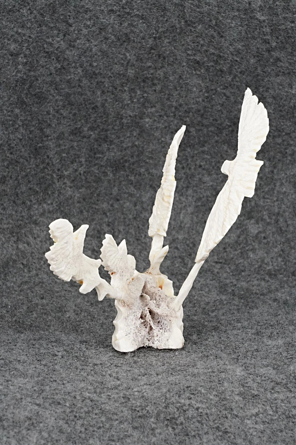 Eagle Zuni Fetish Carving - Ruben Najera