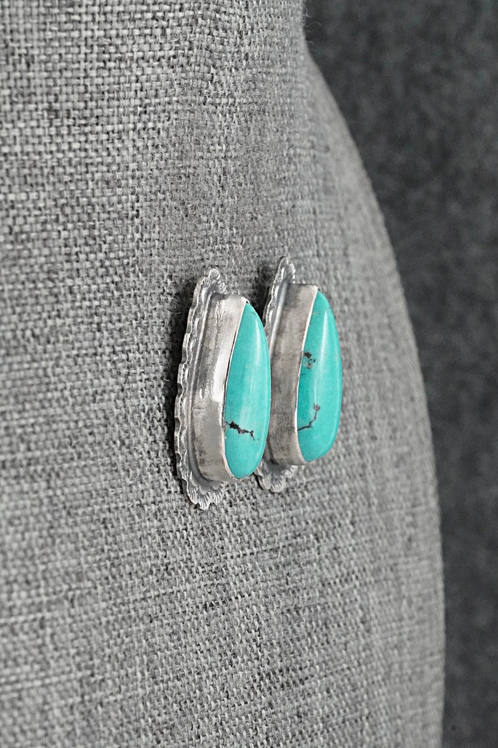 Turquoise & Sterling Silver Earrings - Carlos Francisco