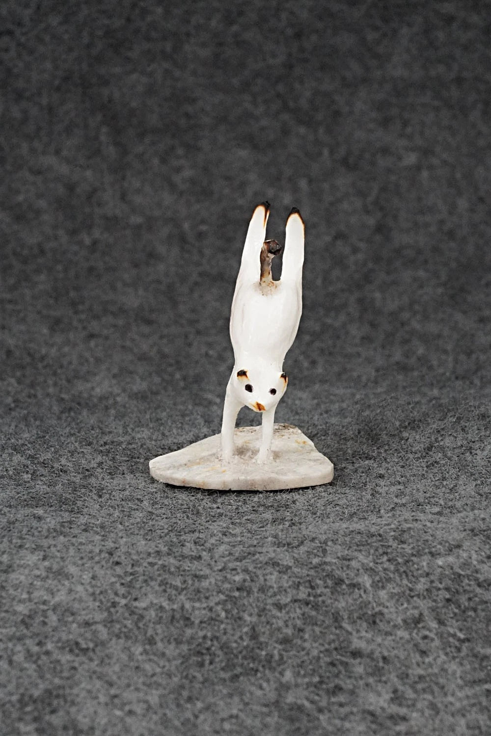 Cat Zuni Fetish Carving - Ruben Najera