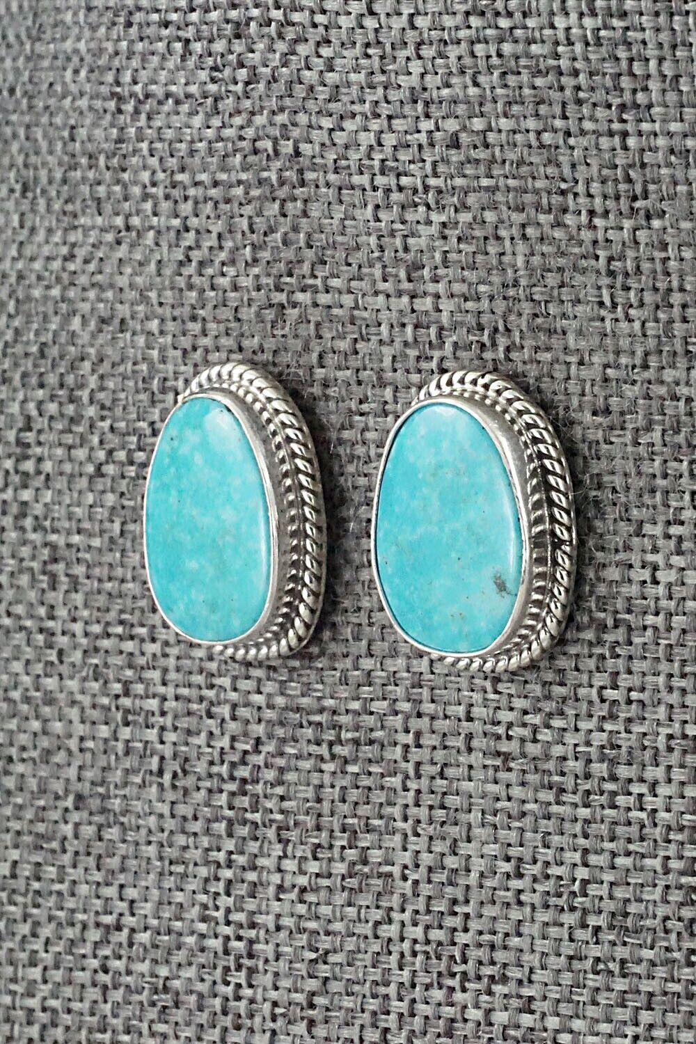 Turquoise & Sterling Silver Earrings - Sharon McCarthy