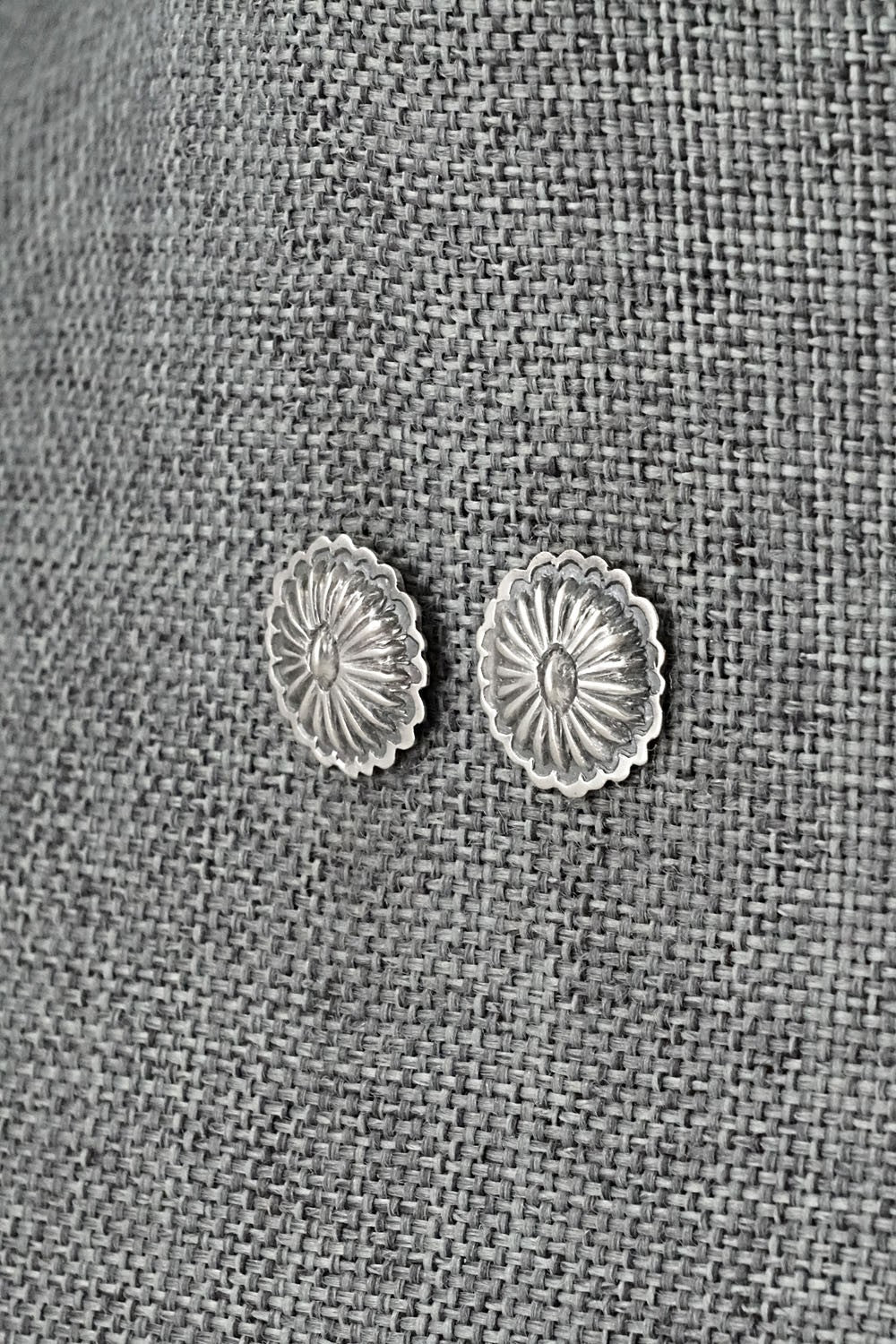Sterling Silver Earrings - Terry Charlie