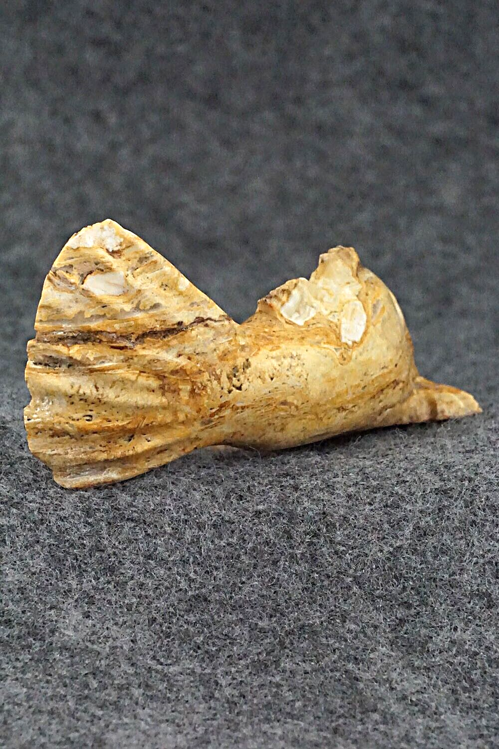 Fish Zuni Fetish Carving - Glendon Lasiloo