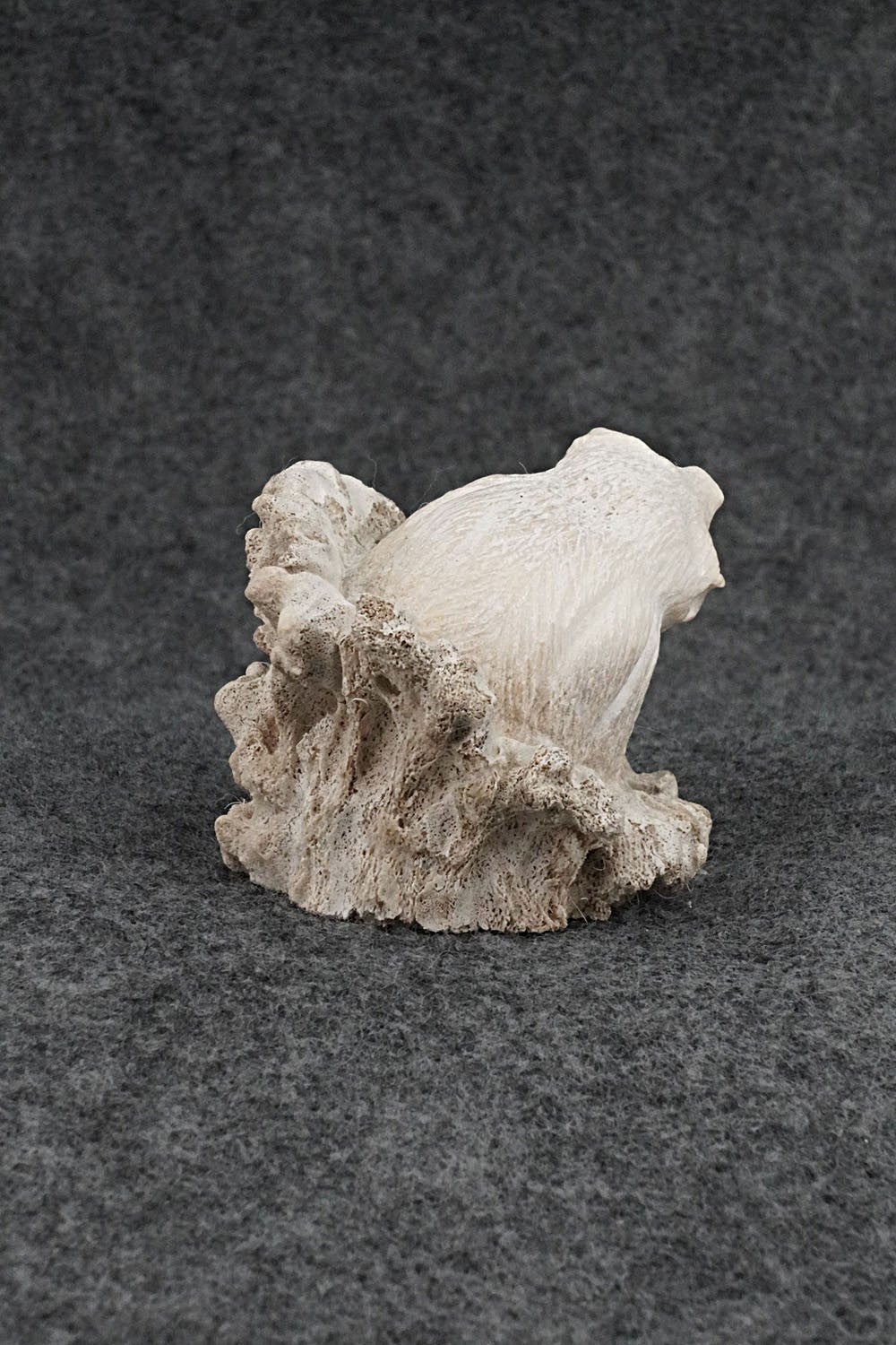 Badger Zuni Fetish Carving - Elton Kaamasee
