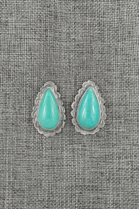 Turquoise & Sterling Silver Earrings - Carlos Francisco