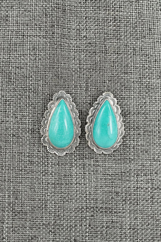 Turquoise & Sterling Silver Earrings - Carlos Francisco