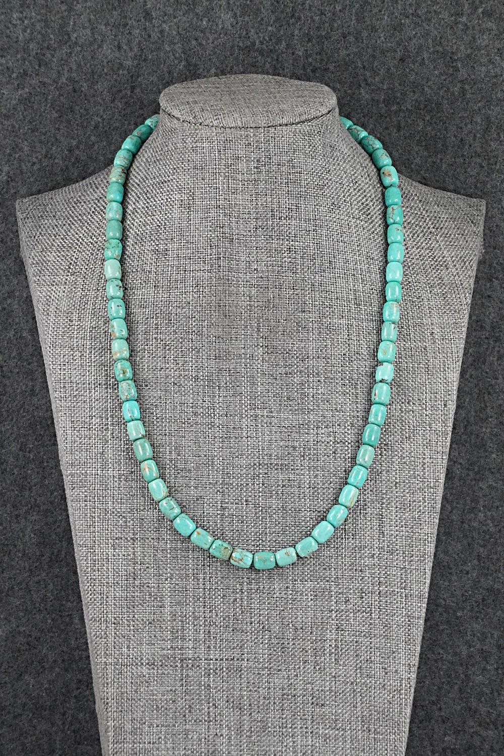 Turquoise & Sterling Silver Necklace 18" - Doreen Jake