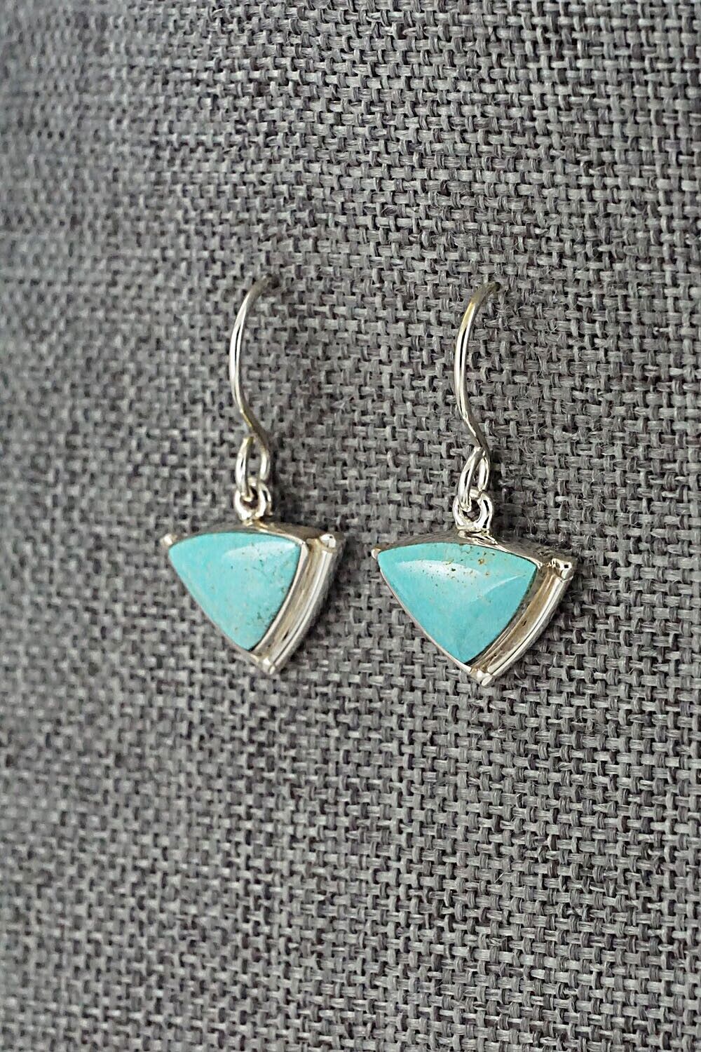 Turquoise & Sterling Silver Earrings - Cathy Webster