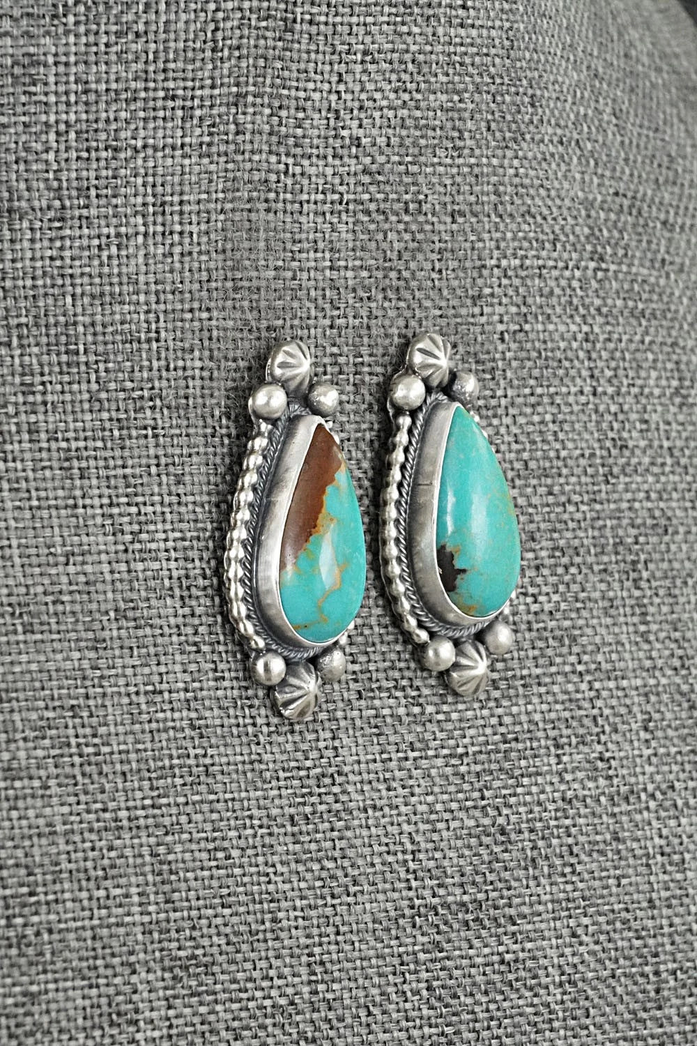 Turquoise & Sterling Silver Earrings - Darrin Livingston