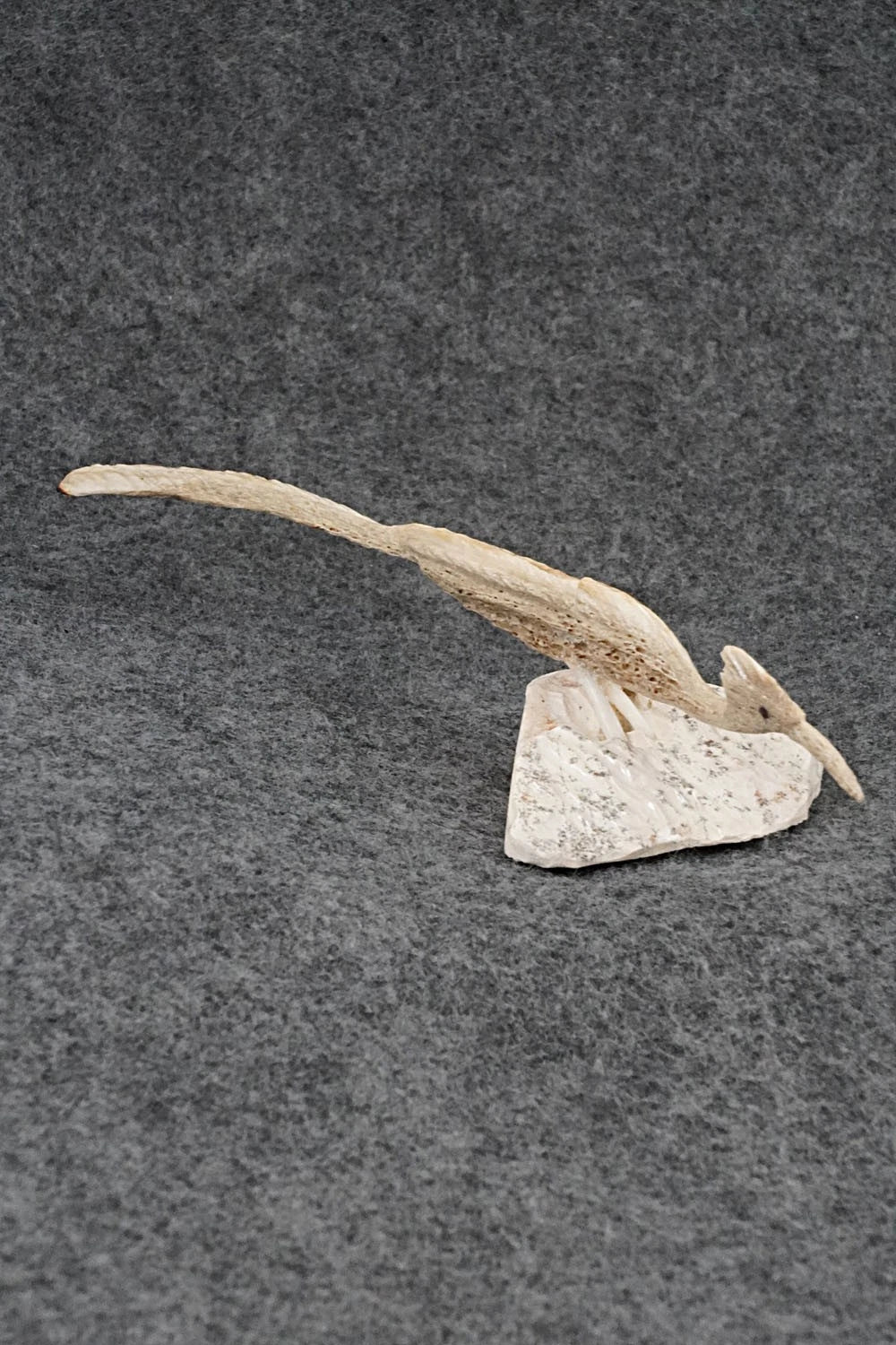 Roadrunner Zuni Fetish Carving - Ruben Najera