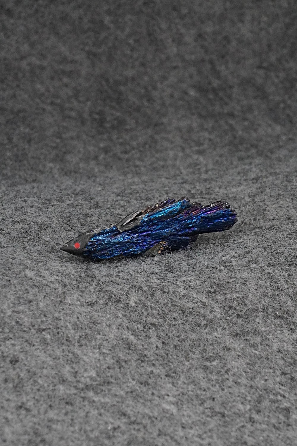 Roadrunner Zuni Fetish Carving - Abby Quam Panteah