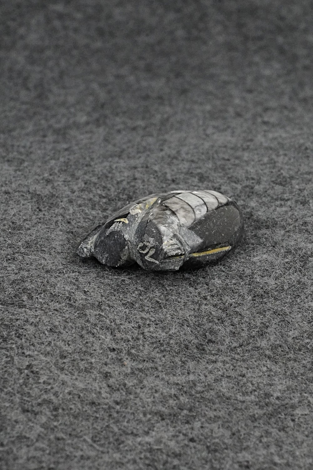 Wolf Zuni Fetish Carving - Danette Laate