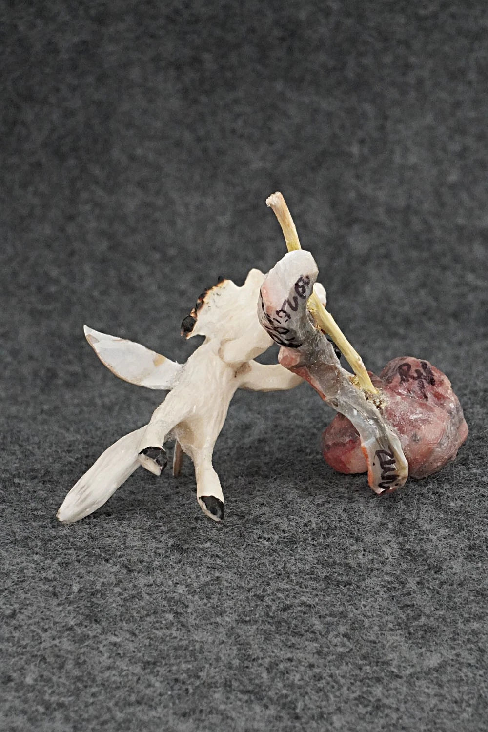 Unicorn Zuni Fetish Carving - Ruben Najara