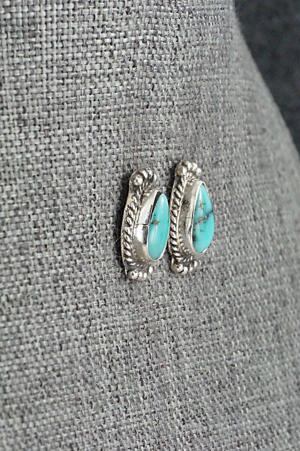 Turquoise & Sterling Silver Earrings - Jan Mariano