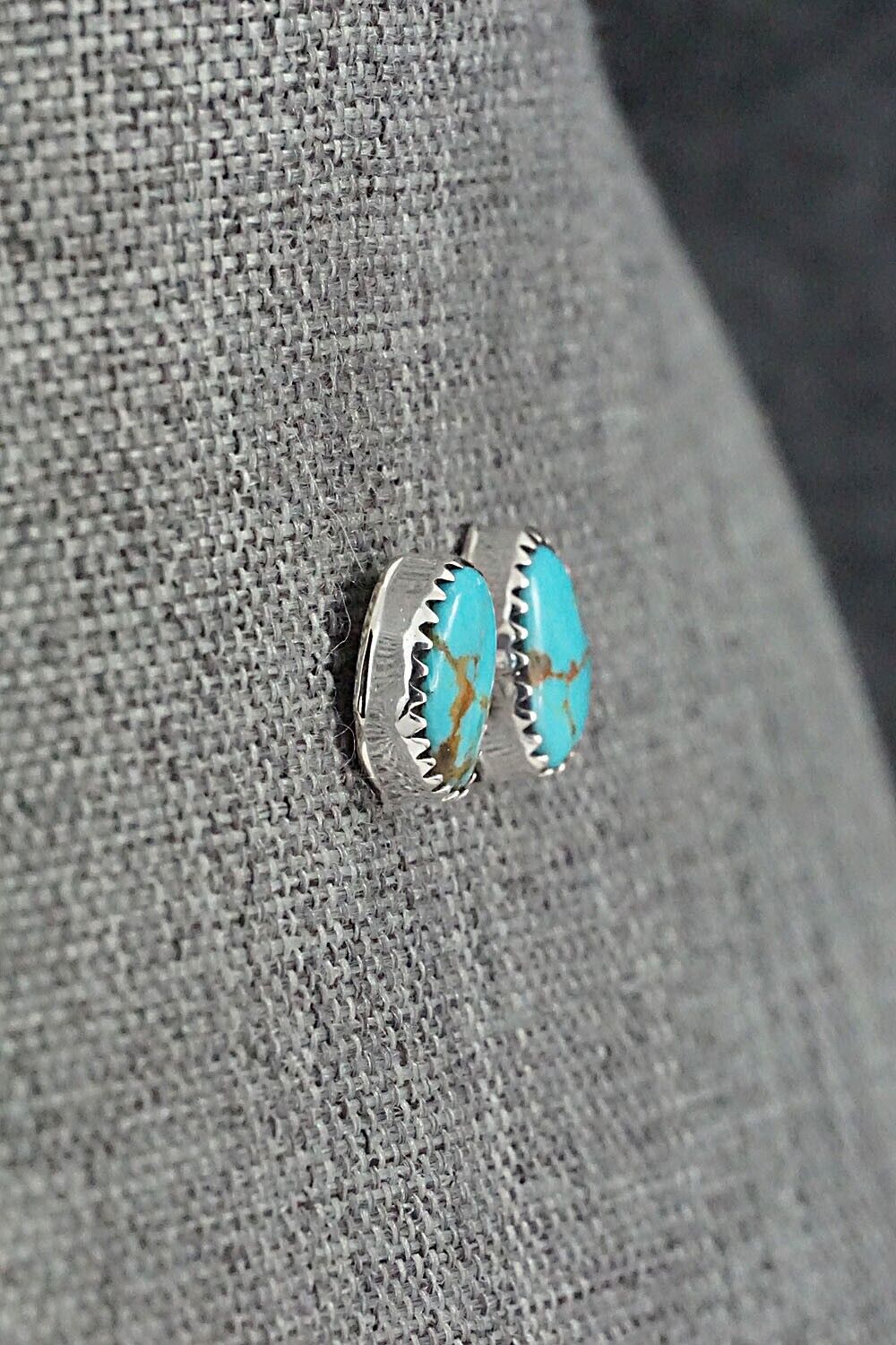 Turquoise & Sterling Silver Earrings - Theresa Smith