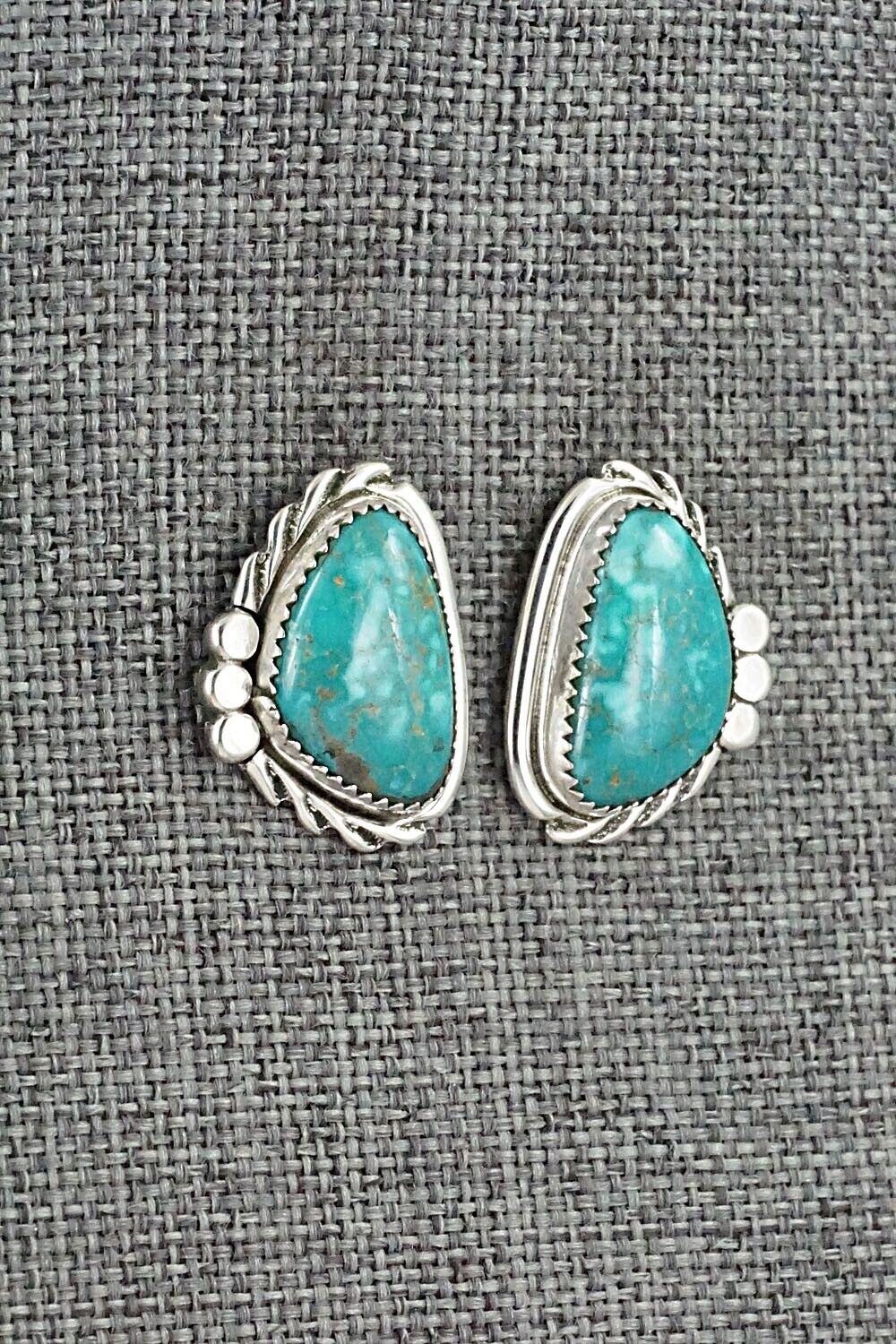 Turquoise and Sterling Silver Earrings - Delores Cadman