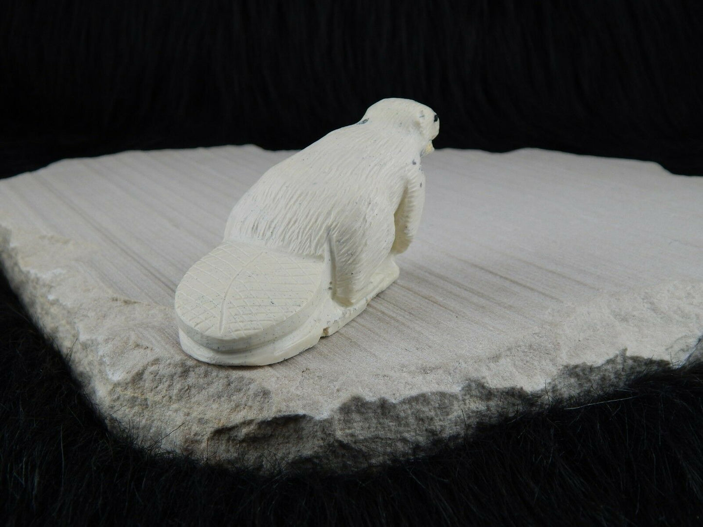 Beaver Zuni Fetish Carving- Derrick Kaamasee - High Lonesome Trading