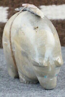 Bear Zuni Fetish Carving - Delvin Leekya