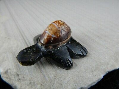 Turtle Zuni Fetish Carving - Fabian Homer - High Lonesome Trading