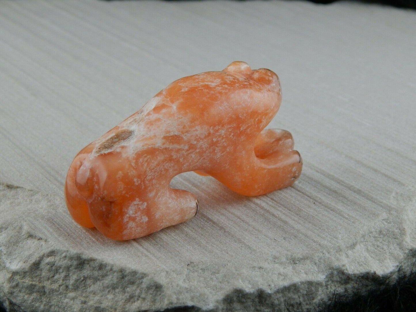 Bear Zuni Fetish Carving - Rickson Kallestewa - High Lonesome Trading