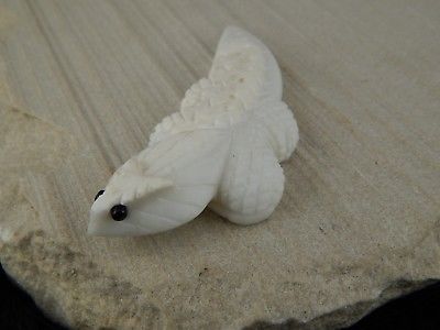 Lizard Zuni Fetish Carving - Lee Bedonie - High Lonesome Trading
