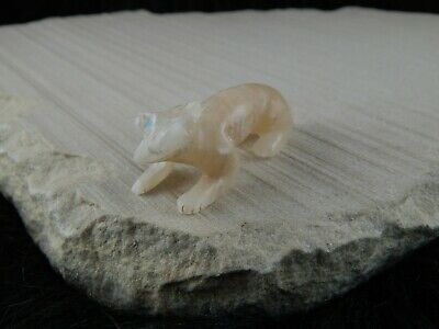 Bobcat Zuni Fetish Carving - Cody Cheama - High Lonesome Trading