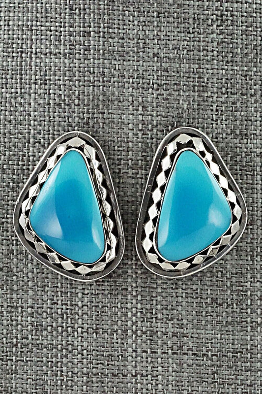 Turquoise and Sterling Silver Earrings - Sharon McCarthy