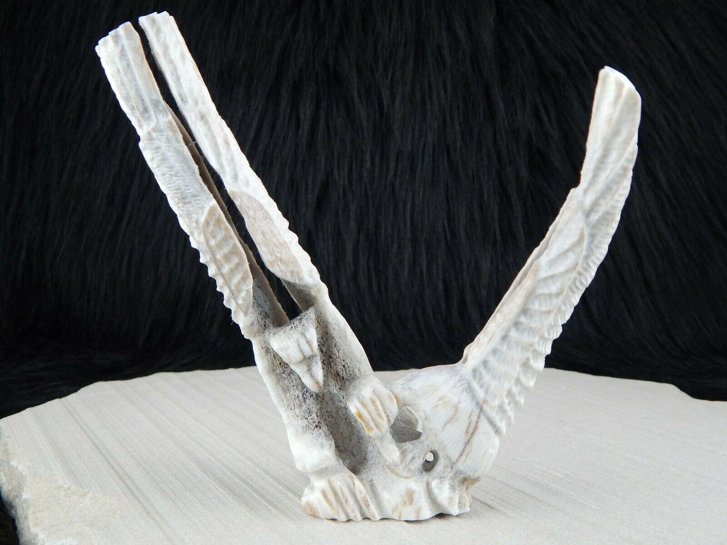 Eagle Zuni Fetish Carving - Jerrold Lahaleon - High Lonesome Trading
