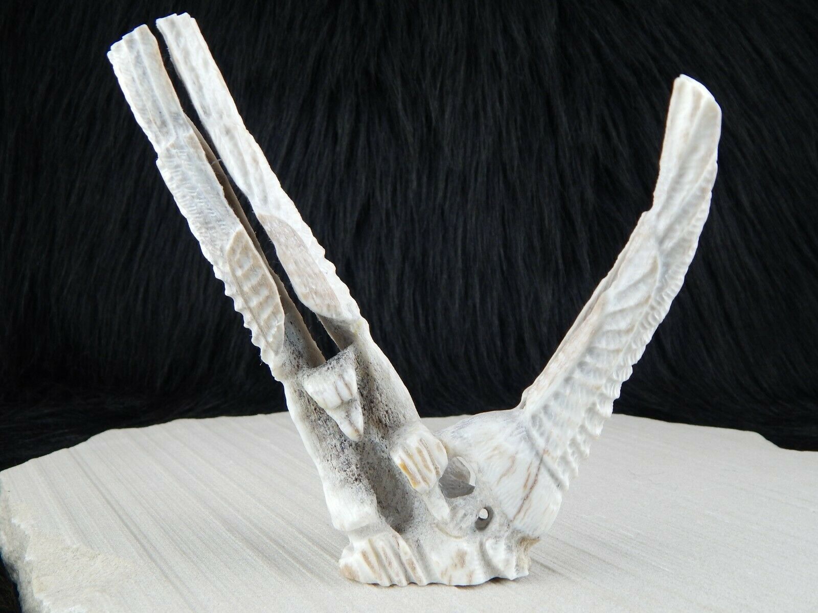 Eagle Zuni Fetish Carving - Jerrold Lahaleon - High Lonesome Trading