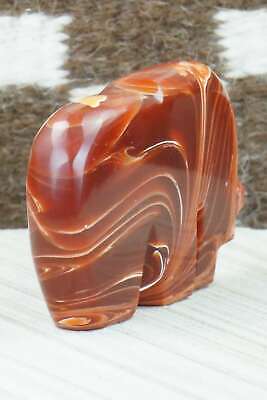 Bear Zuni Fetish Carving - Bernard Laiwakete