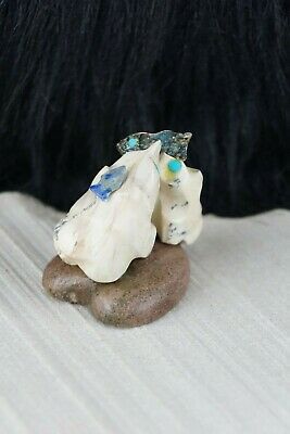 Bear Zuni Fetish Carving - Della Haloo - High Lonesome Trading