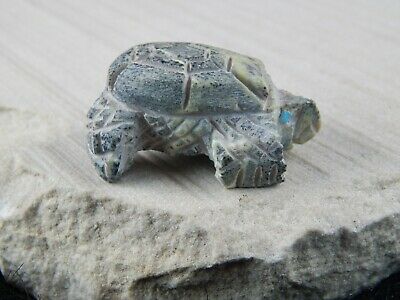 Turtle Zuni Fetish Carving - Jon Quam - High Lonesome Trading